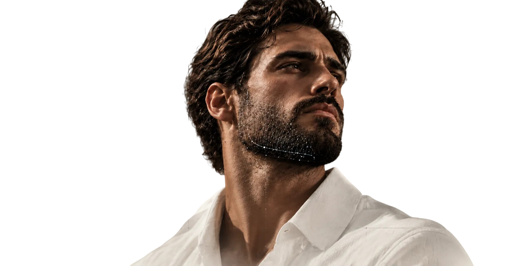 Planificación de barba personalizada con retrato frontal y perfiles de referencia